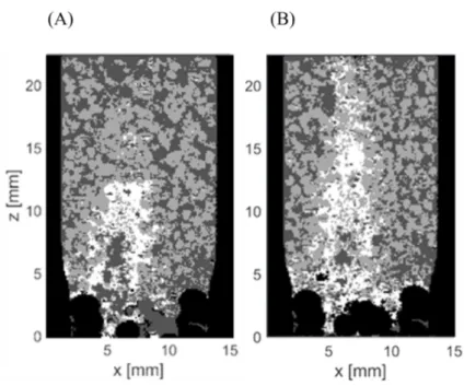 Figure 2.5.: Quantified images after first (A) and second WW feeding (B). Quantified images are 2D sections out of the 3D measurements