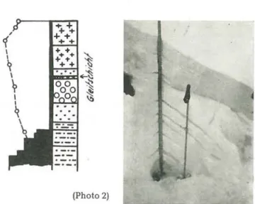 Fig.  9:  Profil  der  Schneebrettlawine  im  Doritäli,  13.  1.  1947  und  größere  Neuschneefälle  entweder  im  Zusammenhange  mit  dem  kohäsionslosen,   schwimm-schneehaltigen  Fundament  oder  mit  der  im  Dezember gebildeten Reifschicht zu Lawinen