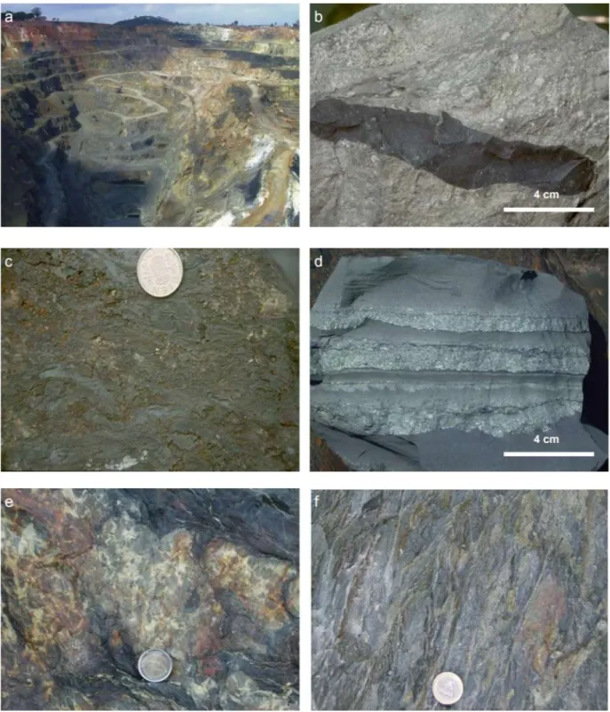 Figure 3: Representative photographs from outcrops on the Filón Norte orebody, Tharsis deposit