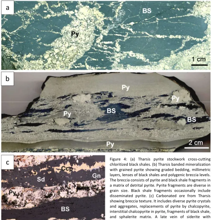 Figure  4:  (a)  Tharsis  pyrite  stockwork  cross-cutting  chloritized black shales. (b) Tharsis banded mineralization  with  grained  pyrite  showing graded bedding,  millimetric  layers, lenses of black shales and polygenic breccia levels