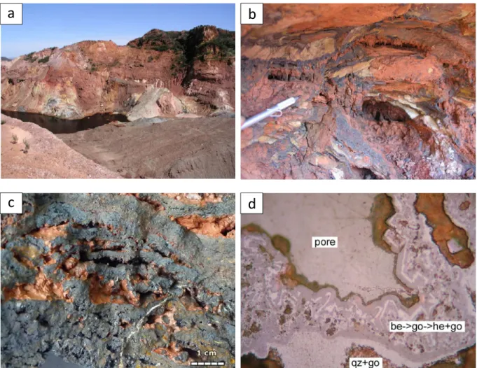 Figure 5: Field photographs showing: (a) classic goethite-rich oxidized zones (darker brown) of the gossan profiles