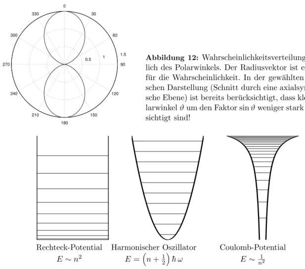 Abbildung 12: Wahrscheinlichkeitsverteilung bez¨ ug- ug-lich des Polarwinkels. Der Radiusvektor ist ein Mass f¨ ur die Wahrscheinlichkeit