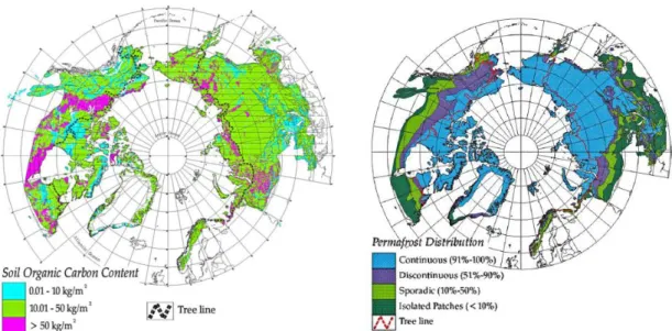 Figure 3.8: Soil organic carbon content and permafrost distribution after Tarnocai, GBC, 2009