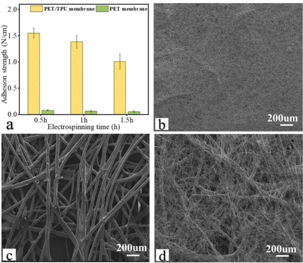 Fig. 4. (a) The adhesion strength between nanoﬁber membrane and substrate in PET/TPU-CNF and PET-CNF, with different electrospinning durations; SEM images of (b) the surface of PET/