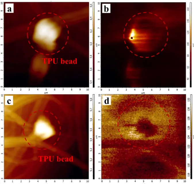 Fig. 7. (a, c) AFM topographies of the PET/TPU nanoﬁbers with beads; (b, d) corresponding SKPM potential images.