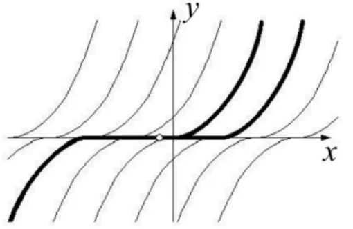 Figure 4: L¨ osungskurven der Differentialgleichung y 0 = − p
