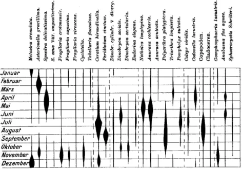 Fig. 12a. Schematische Periodizitätstabelle über einige Greifenseeplanktonten.