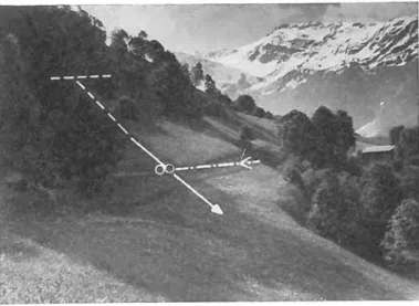 Fig.  13  Die Lawinen von Klosters-Saas  am  11.  Januar 1954 