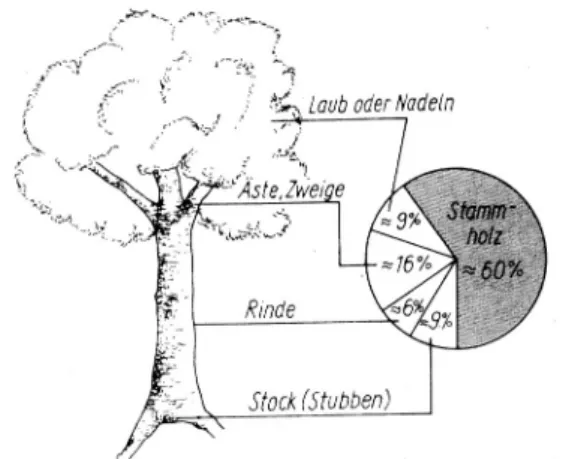 Abbildung 4  Anteil der verschiedenen organischen Substanzen an der Gesamt-Biomasse eines  Baumes (Roland 1988)