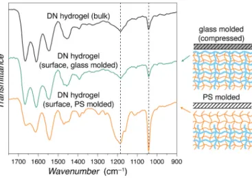 Fig. 2. ATR-FTIR spectra of the bulk DN hydrogel (measured from the surface  of a cut hydrogel), and the surface of DN hydrogel molded in a compressed glass  mold and a PS mold