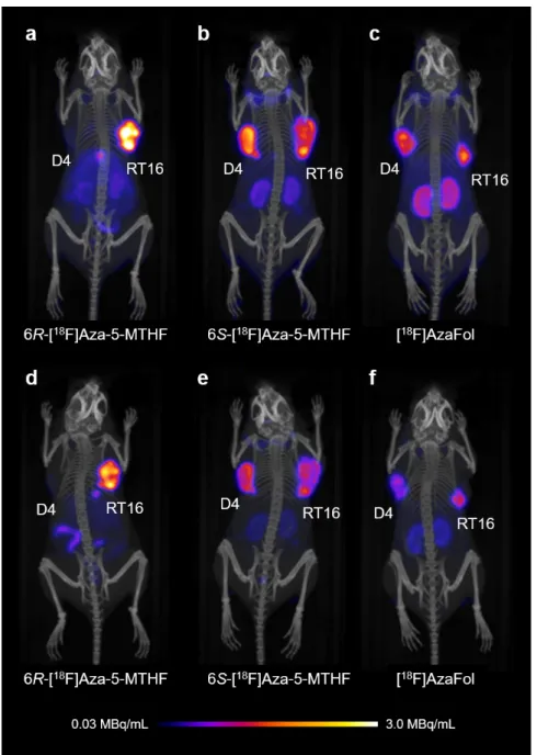 Fig.  2.7 PET/CT images of mice  bearing RT16  and  D4  xenografts  1  h  (a–c) and 3 h (d–f) after injection of  