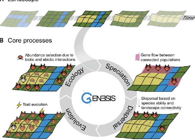Figure 2 Schematic example of the gen3sis engine simulation cycle of one species’ populations over a landscape evolution  example containing highlands (yellow), lowlands (green) and a river acting as a barrier (blue)