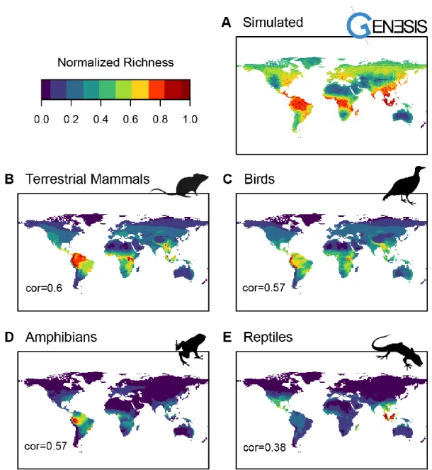 Figure S6 Normalized richness of (A) selected simulation, (B) terrestrial mammals, (C) birds, (D) amphibians and (E) reptiles,  with Pearson correlation values for comparisons between simulated and empirical data