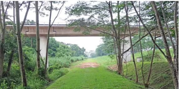 Figure 10. The Rail Corridor evolves along a heterogeneous landscape, ranging from dense urban situations to  areas with lush vegetation, shown here at the crossing with the North-South rapid transit line in Kranji