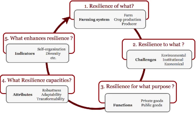 Figure 2: Framework to assess resilience of farming system adapted from (Helfgott, 2018; Meuwissen et al., 2019) 