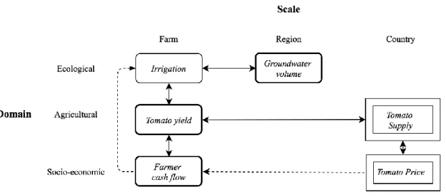 Figure 4: Interactions within the tomato production system – boxes in bold represent the stocks used in the model, boxes  with double lines are common variables between exporters and farmers, straight arrows are the direct connections between 