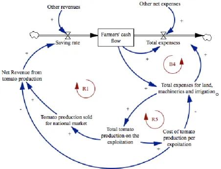 Figure 5: Summarized state and flow model and the causal links of an open-field farm  