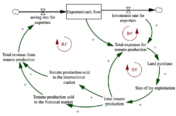 Figure 6 : summarized state and flow model and the causal links of a greenhouse producer 