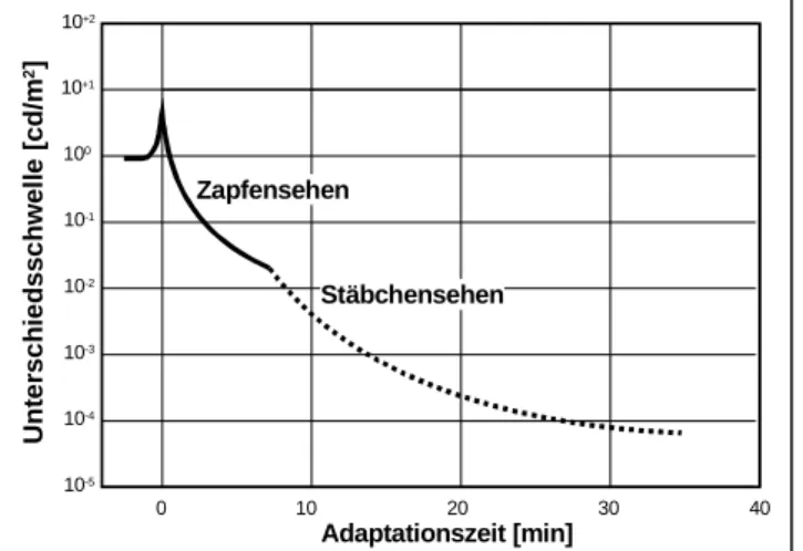 Abb. 15: Änderung der Schwellenreizstärke bei Dunkeladaptation. Auf der Ordinate ist die Leuchtdichte eines gerade  wahrgenom-menen Lichtreizes eingetragen.