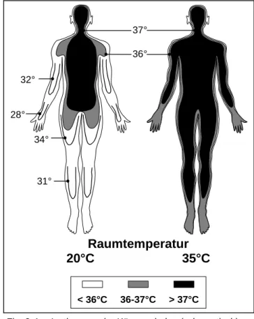 Fig. 2-4: Isothermen der Körperschalen (schematisch).