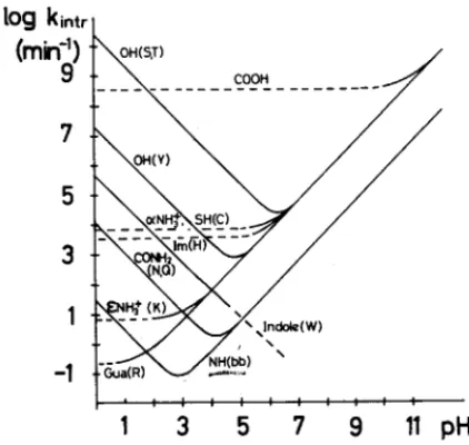 FIGUR 28. Logarithmische Darstellung der intrinsischen Austauschraten k intr  versus pH für  Lösungsmittel-zugängliche, labile Protonen in Wasser bei 25˚C.