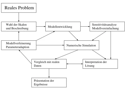 Abbildung 5.1: Schematische Darstellung des Modellierungszyklus.