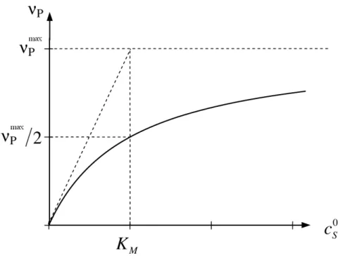 Abb. 1.11: Graphische Darstellung der Michaelis-Menten-Kinetik, in der die Produktbil- Produktbil-dungsgeschwindigkeit als Funktion der Gesamtkonzentration des Substrats  auf-getragen wird.