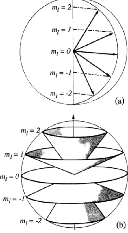 Abb. V.1: Klassisches Bild der Projek- Projek-tionen des Drehimpuls–Vektors auf die z–Achse
