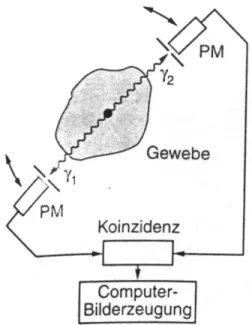Abbildung 6.2: Postitron–Emissions–Tomographie PET: die Anihilationsphotonen werden mit zwei Detektoren in Koinzidenz nachgewiesen.