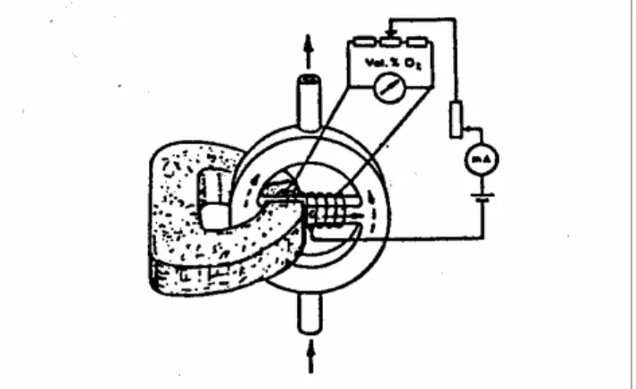 Abb. 3:  Prinzipschaltung des thermomagnetischen Sauerstoffanalysators „Magnos“ 