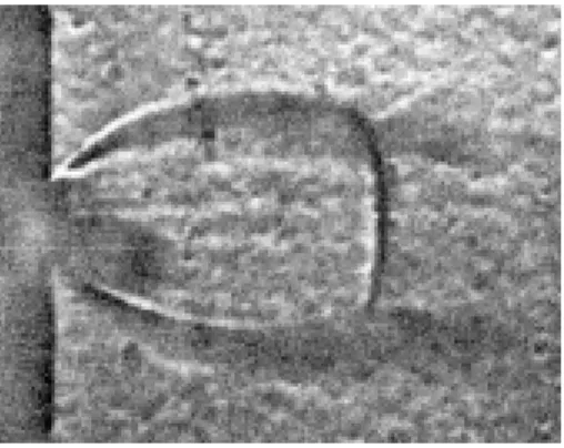 Abbildung 5: Schlierenbild einer rotationssymmetrischen Supersonic-Jet-Expan- Supersonic-Jet-Expan-sion (aus Bier und Schmidt [10], S
