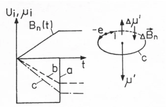 Abb. 1: Induzuierter Strom in einem kreisförmigen Leiter.