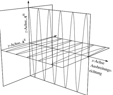 Abb. 2.1  Darstellung einer linear  polarisierten elektromagnetischen  Welle, die sich in x-Richtung   ausbreitet