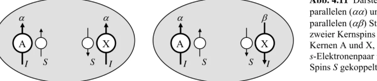 Abb. 4.11  Darstellung der  parallelen (αα) und  anti-parallelen (αβ) Stellung  zweier Kernspins I in den  Kernen A und X, die über ein  s-Elektronenpaar mit den  Spins S gekoppelt sind