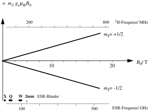 Abb.  1-1 Aufspaltung  der  Energieniveaus  eines  Elektronenspins  im  Magnetfeld  und Vergleich von NMR- und ESR-Frequenzen.