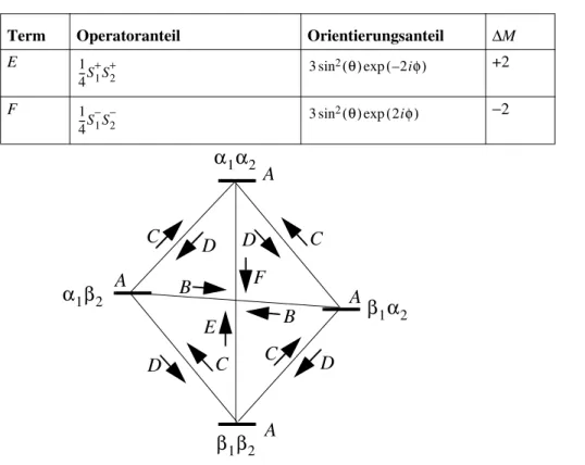 Abb.  2-3 Zuordnung  der  Buchstaben  des  dipolaren  Alphabets  zu  den  Übergängen  eines Systems von zwei Elektronenspins im Hochfeld.