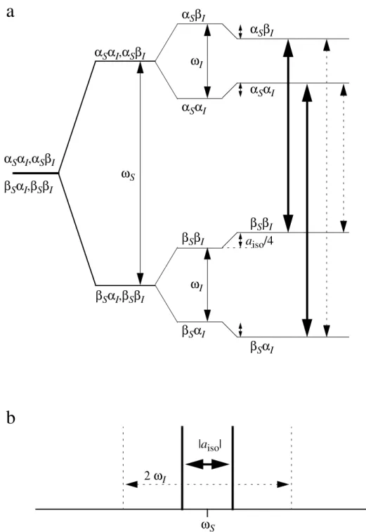 Abb.  2-5 Energieniveauschema  (a)  und  schematisches  Spektrum  (b)  eines  Spinsystems bestehend  aus  einem  Elektronenspin  S =1/2  und  einem  Kernspin  I =1/2  mit  der  isotropen Hyperfeinkopplung  a
