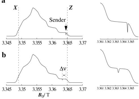 Abb. 3-4 Schematische Darstellung der Sättigungstransfer-ESR an einem Nitroxid-Radikal bei W-Band-Frequenzen