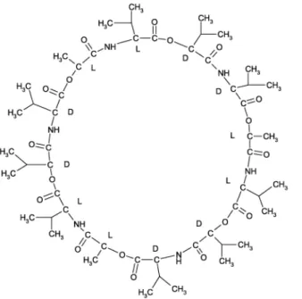 Abbildung 15. Valinomycin (links) und Nonactin (rechts) 