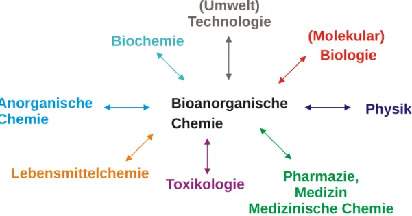 Abbildung 1. Die Bioanorganische Chemie und ihre Nachbardisziplinen  Es ergeben sich folgende Berührungspunkte: 