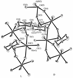 Abbildung 5. Die Struktur von CdCl 2 (H 2 O)(DL-Hpip) mit µ, η 1 : η 1 -Koordination der  Aminosäure 