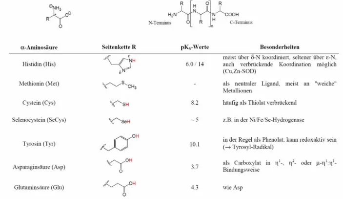 Tabelle 4. Aminosäuren/Peptide als Liganden 