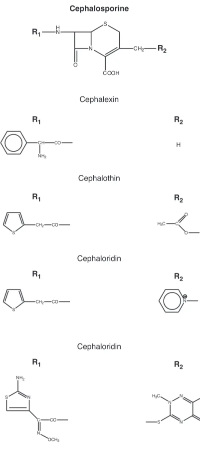 Abbildung 3.5. Formeln einiger Cephalosporine 