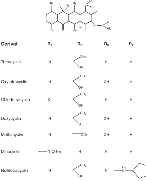 Abbildung 3.8: Die Derivate des Tetracyclins 