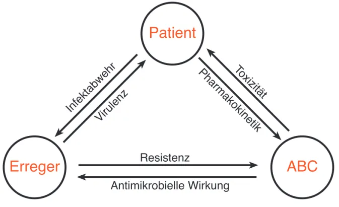 Abbildung 1.1: Die Dreiecksbeziehung zwischen Patient, Erreger und Chemotherapeutikum (ABC)