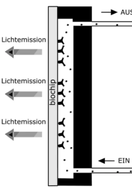 Abbildung 2.5: Schemazeichnung einer PASA-Flußzelle mit auswechselbarem Biochip
