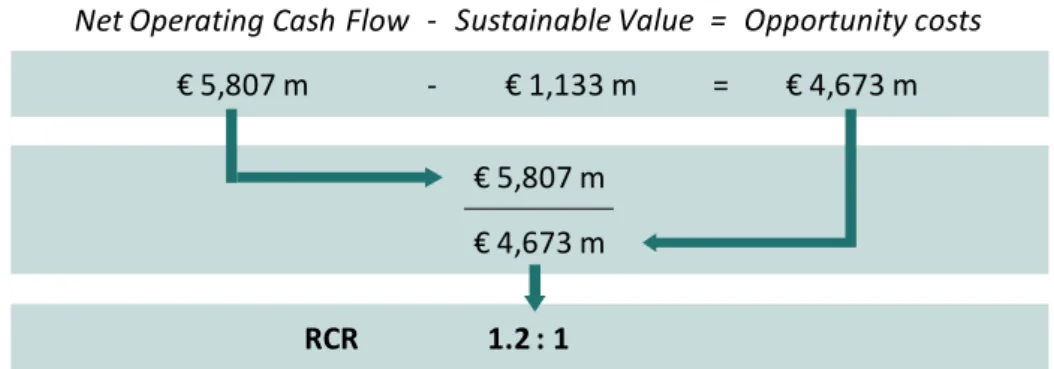 Figure 4: Calculation of the Return to Cost Ratio of BASF in 2007 