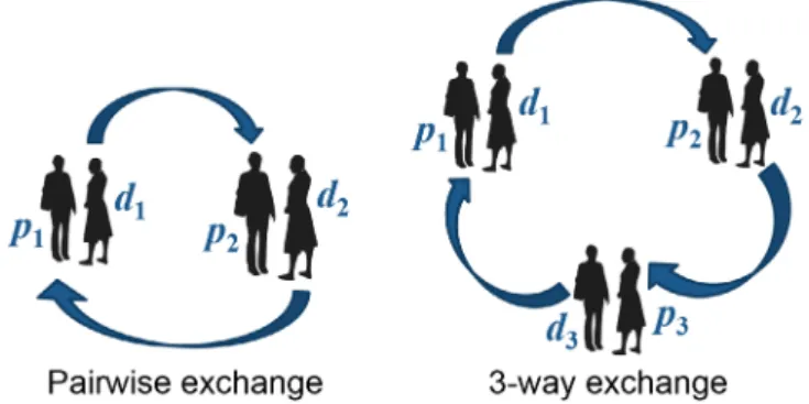 FIgUrE 1 HOW THE KIDnEY EXCHAngEs WOrK. In EACH PKE, p rEPrEsEnTs A PATIEnT  AnD d rEPrEsEnTs A DOnOr