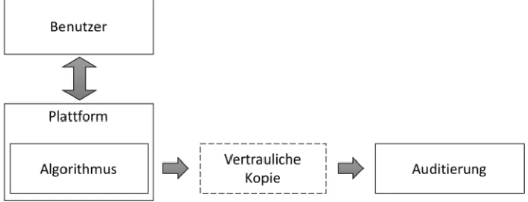 Abbildung 4: Schematische Darstellung des Code-Audit-Verfahrens 