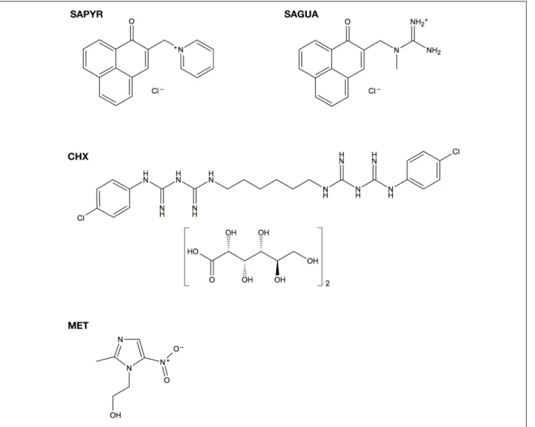 Figure 1 shows the chemical structures of SAPYR, SAGUA, CHX, and MET.